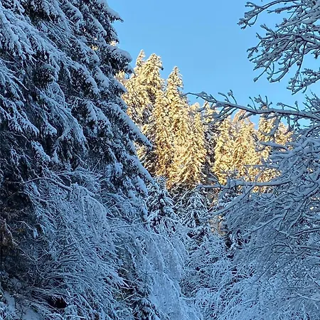 Schisafari Im Familienchalets Am Millstaetter * Rothenthurn